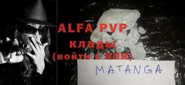 индика Абаза