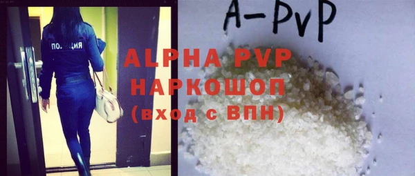 индика Абаза