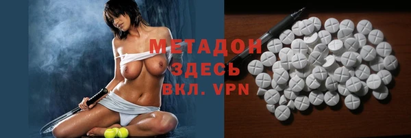 индика Абаза