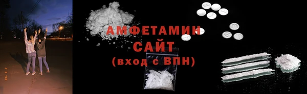 индика Абаза