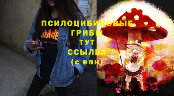 apvp Алексеевка