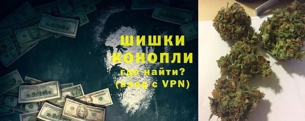 индика Абаза